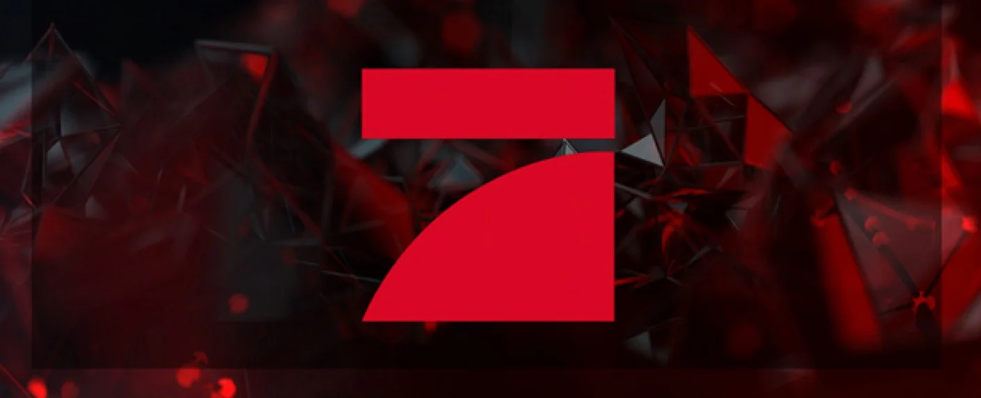 Das große ProSieben Promiboxen 2012 banner
