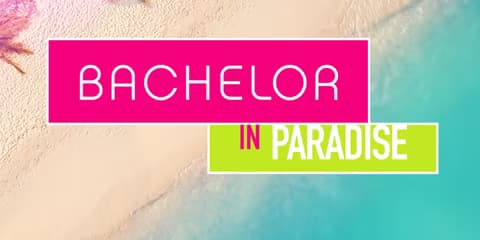 Bachelor in Paradise banner
