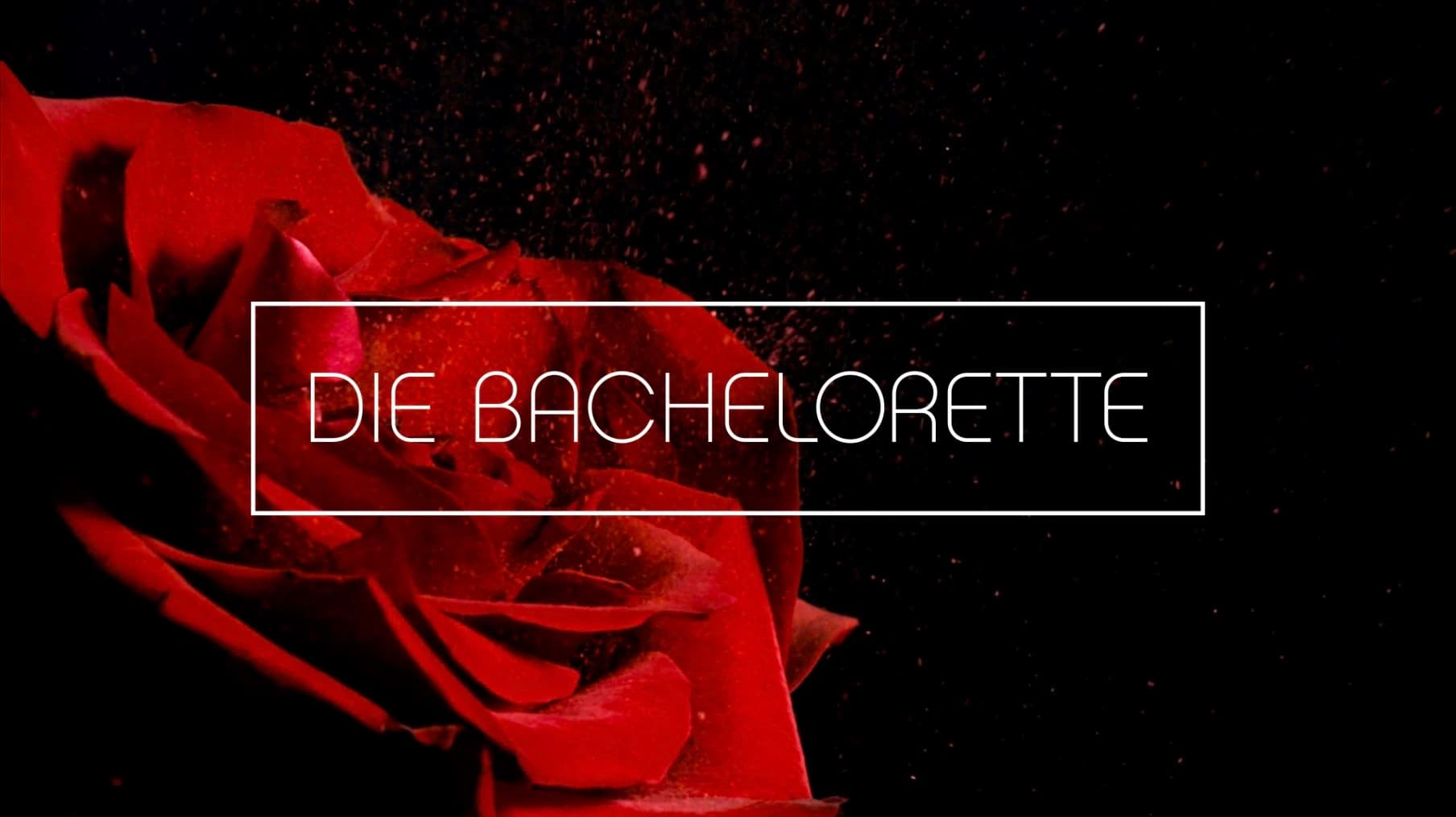 Die Bachelorette banner